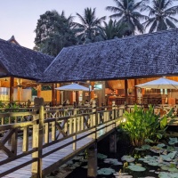 The White Lotus Restaurant (12)