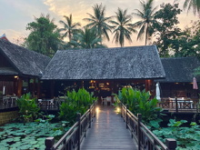 The White Lotus Restaurant (9)