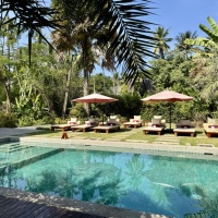 Pool Parasol Blanc (10)