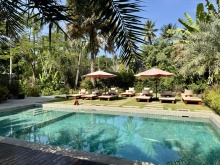 Pool Parasol Blanc (10)