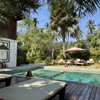 Pool Parasol Blanc (8)