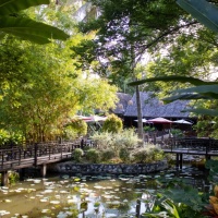 Exterior &amp; Garden (18)