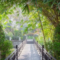 Exterior &amp; Garden (15)