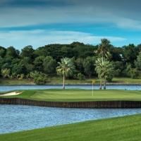 Amata Spring H17 17088382