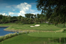 Amata Spring H08 17088393