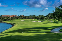 Amata Spring H09 17088416