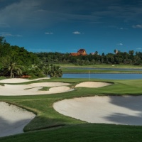 Amata Spring H11 17088469