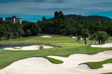 Amata Spring H12 17088455