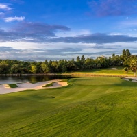 Amata Spring H12 17088841