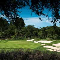 Amata Spring H13 17088457