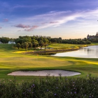 Amata Spring H14 17088838