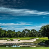 Amata Spring H05 17088450