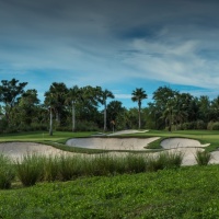 Amata Spring H05 17088466