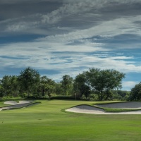 Amata Spring H06 17088467