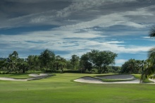 Amata Spring H06 17088467