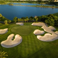 Amata Spring H06 17089179