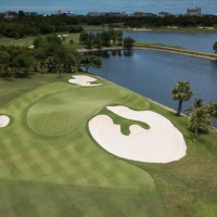 Amata Spring H07 17088507