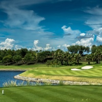 Amata Spring H08 17088392