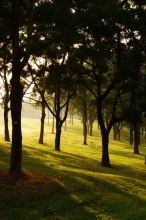 Glenmarie Golf &amp; Country Club - Valley 9