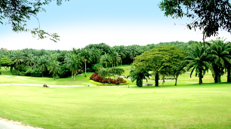 8 - Palm Course