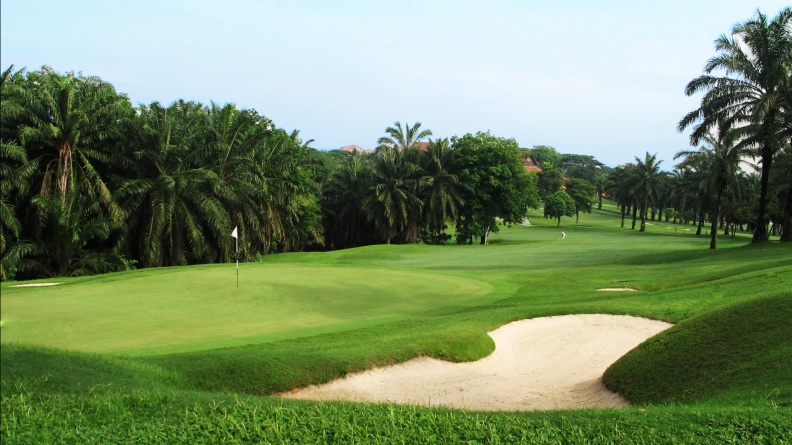 9 - Palm Course