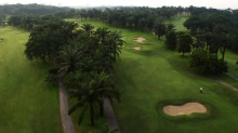 11 - Palm Course