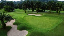 12 - Palm Course