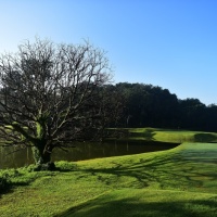 Tasik-Puteri-Golf-Country-Club-03