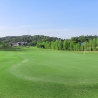 1647930388288 (722 visits) 1647930388288