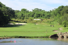 1661138034120 (721 visits) 1661138034120