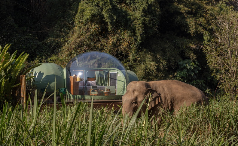 39-Anantara Golden Triangle Jungle Bubble 8562-4