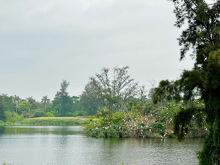 图片 202304211527521