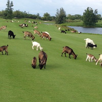 图片 202304211528111