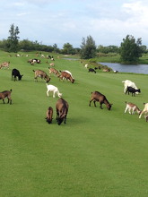 图片 202304211528111