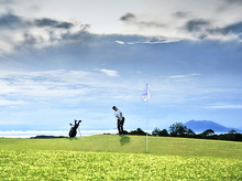 DSF4859ps (29 visits) DSF4859ps