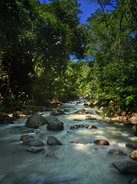 DSF4754ps (29 visits) DSF4754ps