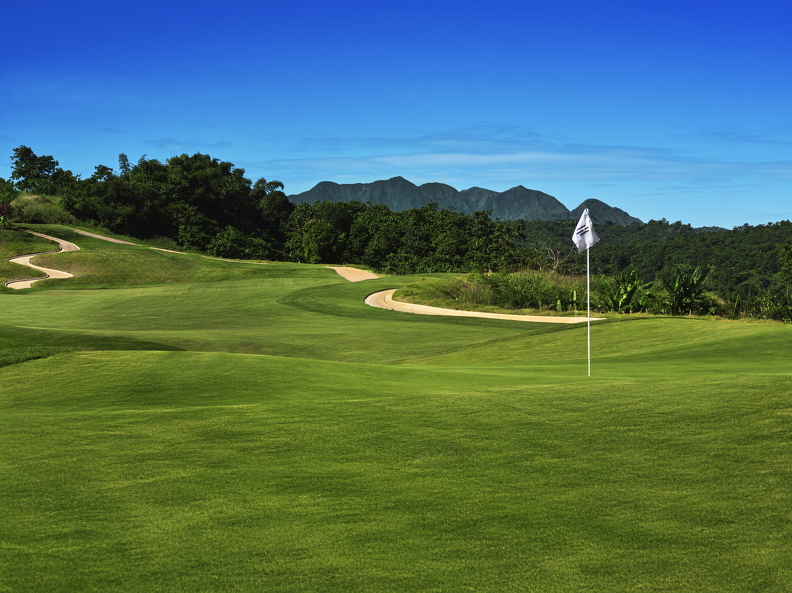 DSF4667ps (29 visits) DSF4667ps