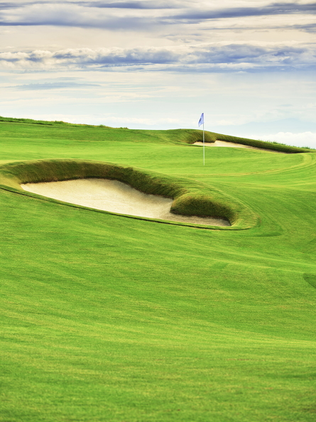 DSF4907ps (29 visits) DSF4907ps