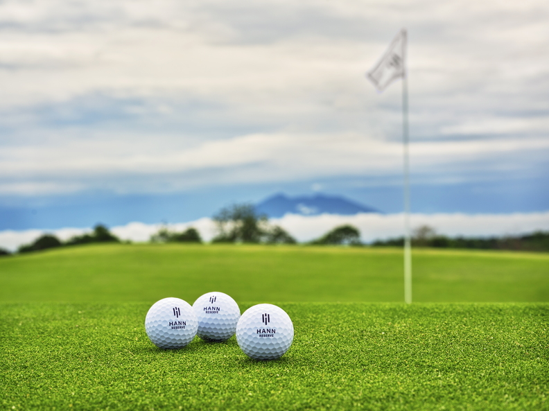 DSF4996b (29 visits) DSF4996b