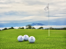 DSF4996b (29 visits) DSF4996b