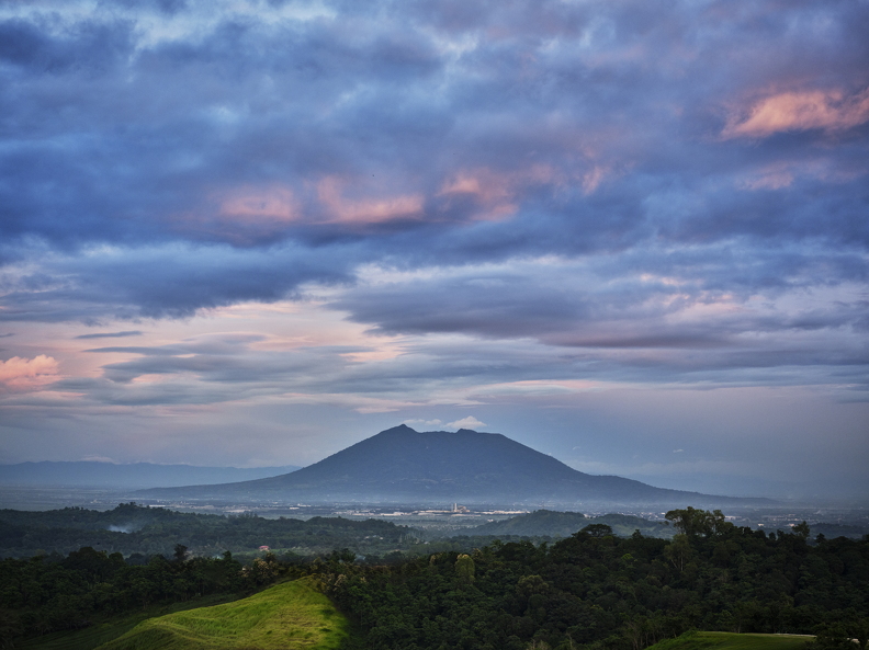 DSF5223ps (30 visits) DSF5223ps