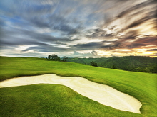 DSF5220ps (30 visits) DSF5220ps