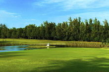 paradise-golf-resort-09