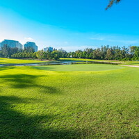 background-trang-chu-1-compressed