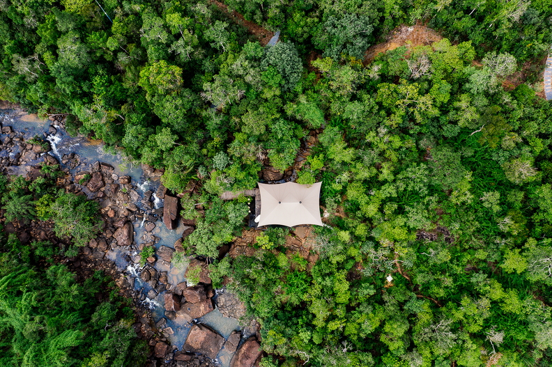 Copy of Wild-Drone-NLee-30