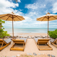 00d DVH View Overall