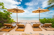 00d DVH View Overall