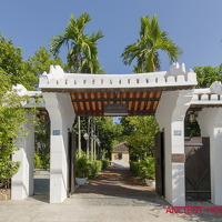  DSC3403-2