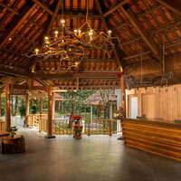 Reception (7)