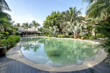Pool 1